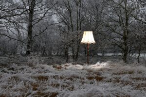 Stehlampe in Landschaft mit Raureif